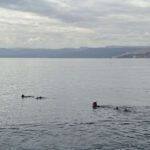 Snorkel - Aqaba