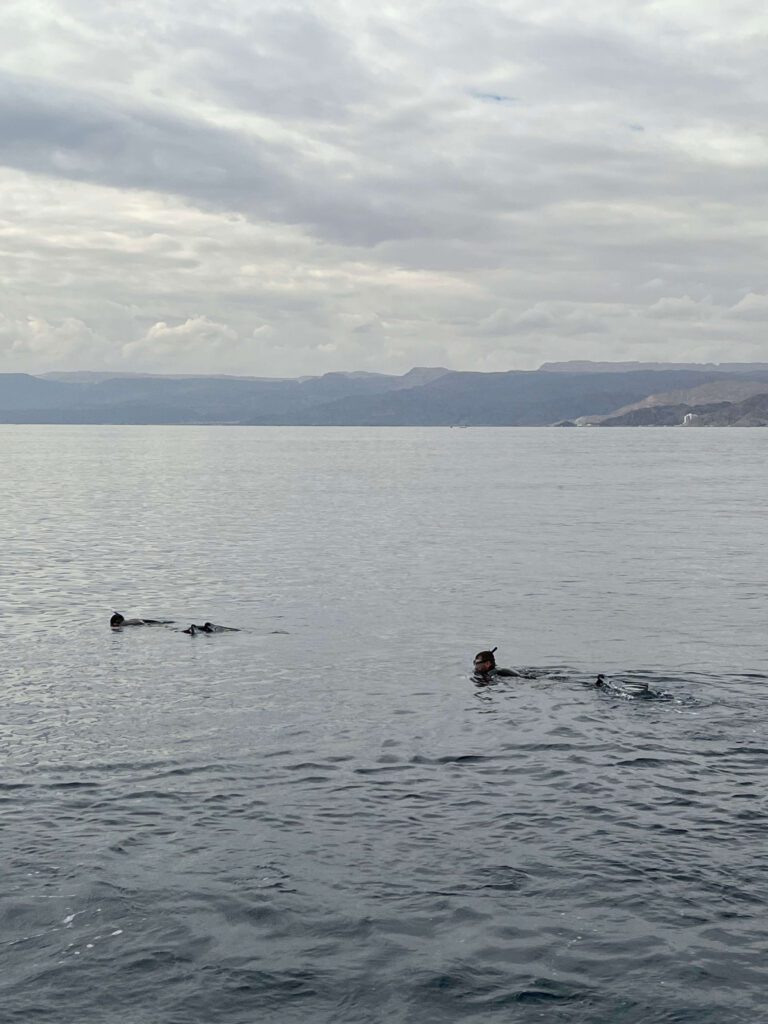 Snorkel - Aqaba