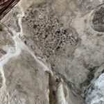 Frescos - Little Petra