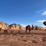 Mushroom Rock - Wadi Rum