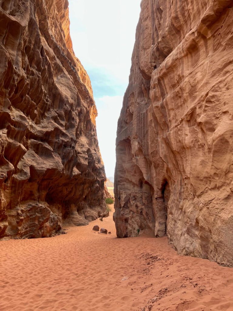 Cañón - Wadi Rum