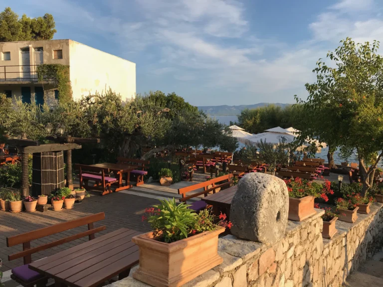 Terraza - Bol