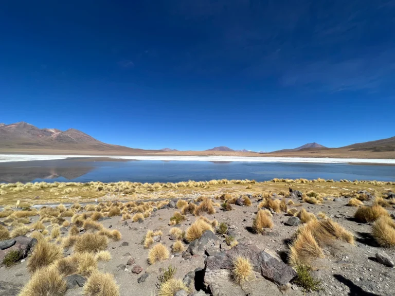 Laguna Hedionda - Uyuni