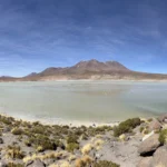 Laguna Hedionda - Uyuni
