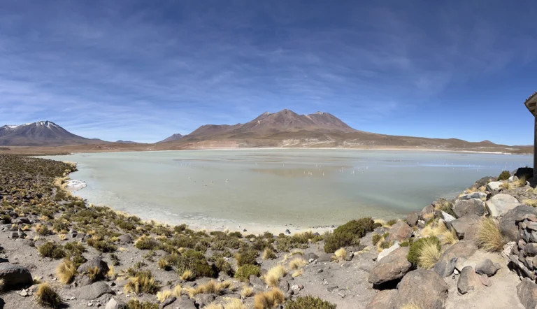 Laguna Hedionda - Uyuni