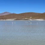 Laguna Honda - Uyuni