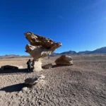 Árbol de Piedra