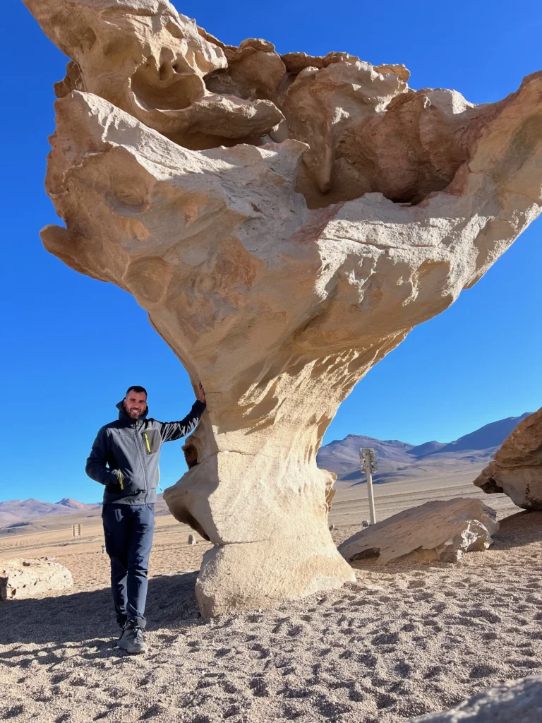 Árbol de Piedra