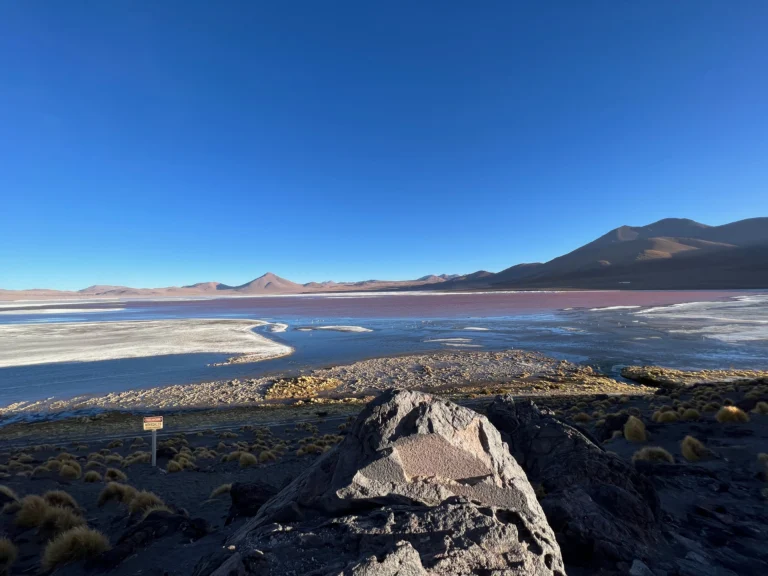 Laguna Colorada