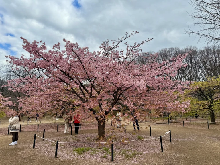 Parque Ueno