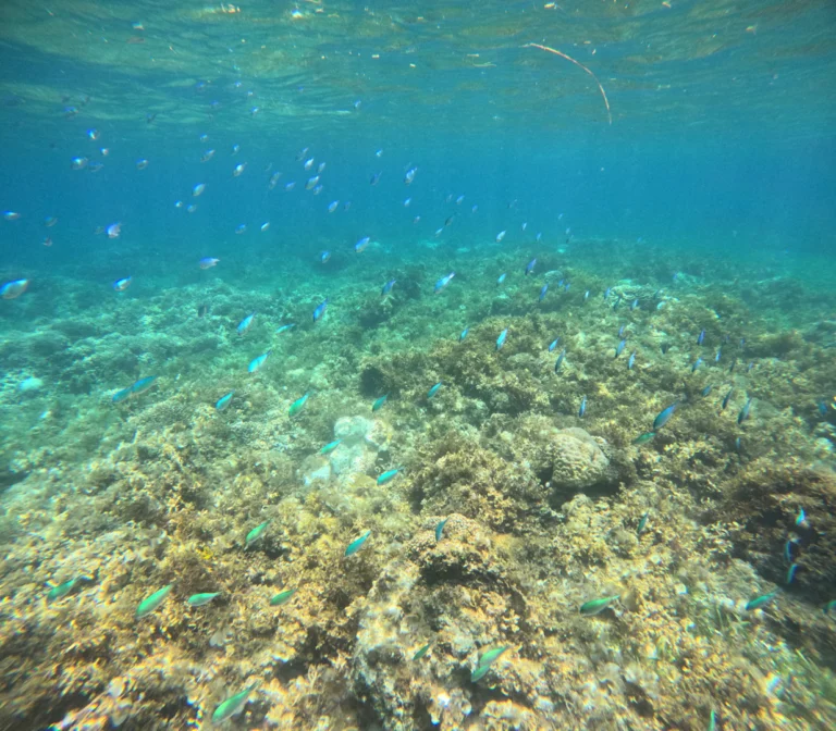 Panglao
