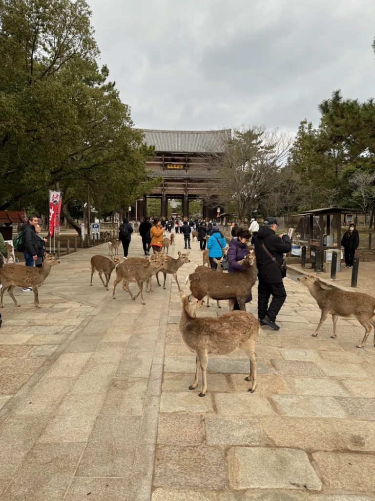 Parque Nara