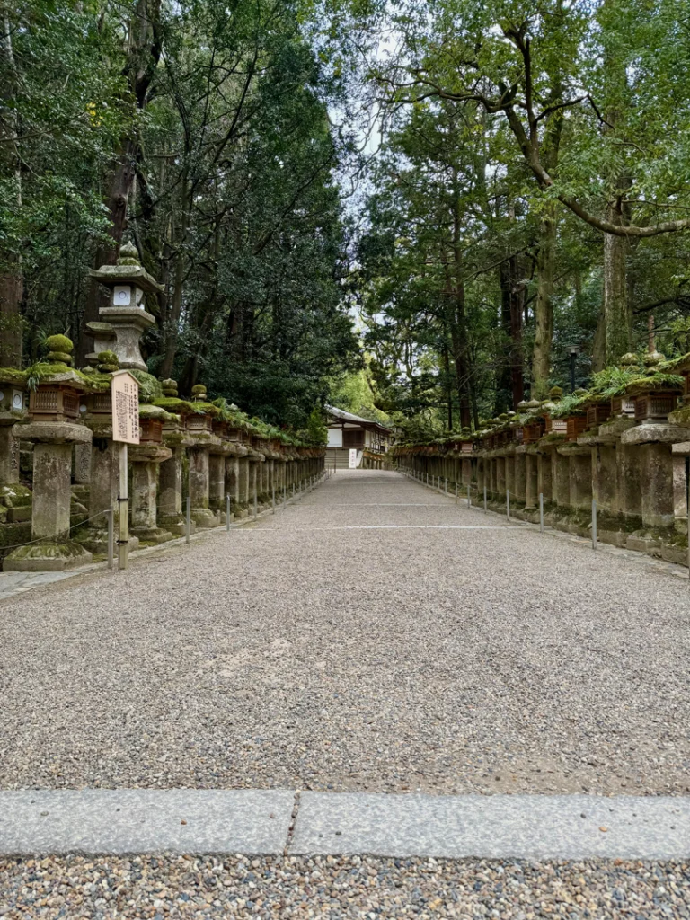 Parque Nara