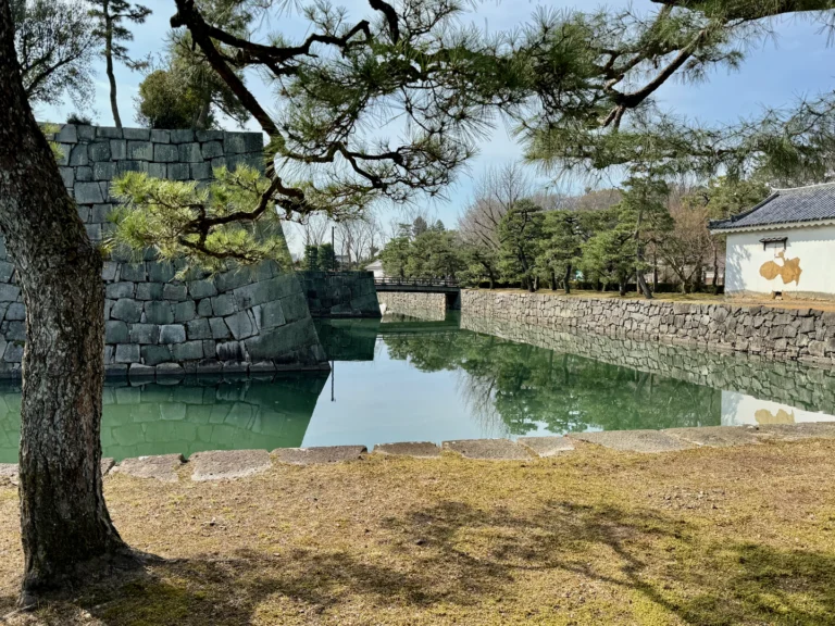 Castillo Nijo
