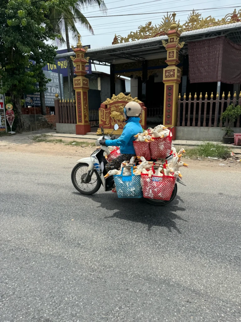 Transporte