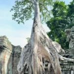 Ta Prohm
