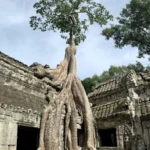 Ta Prohm