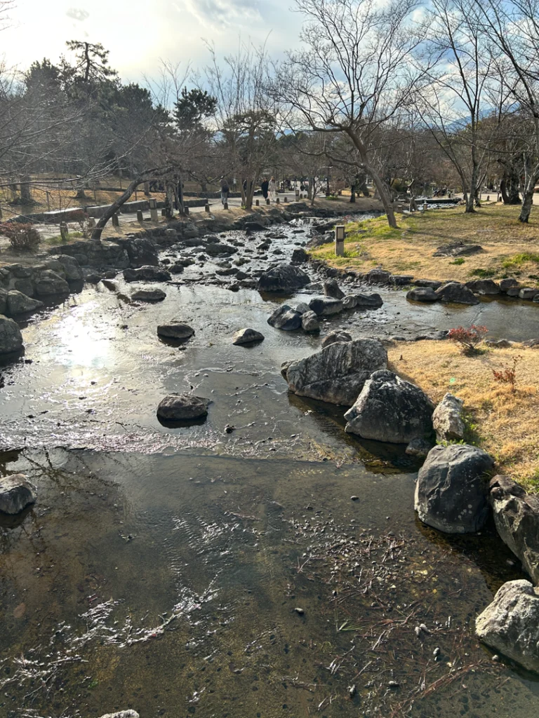 Castillo Nijo