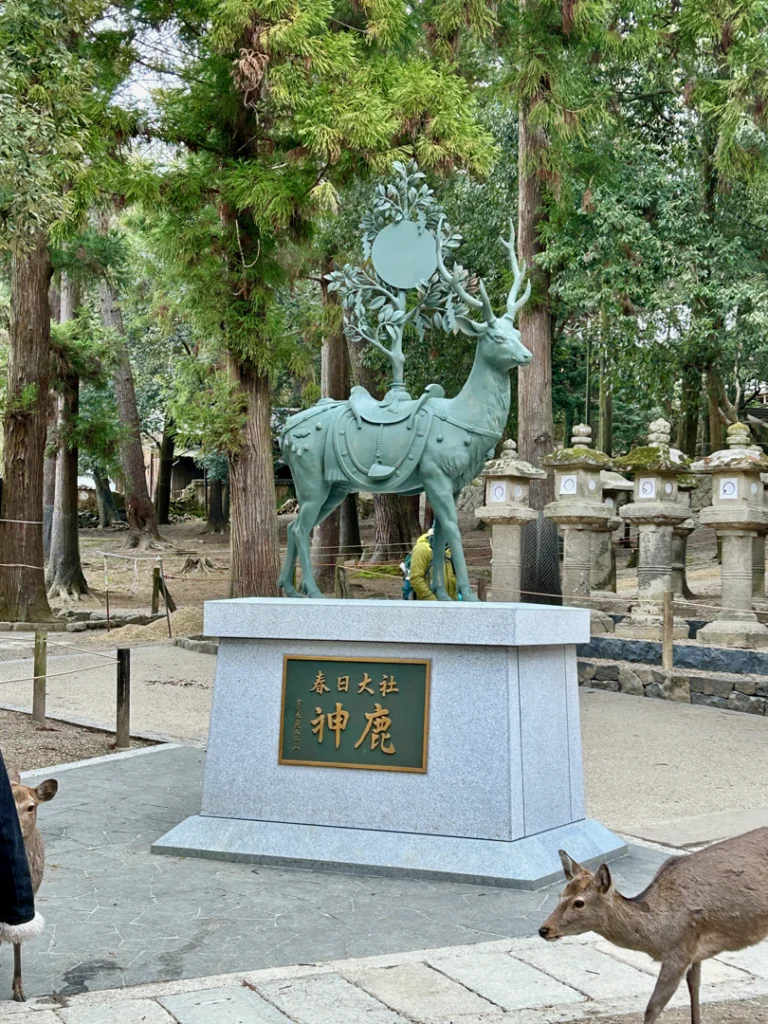 Parque Nara