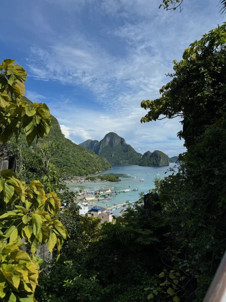 Canopy Walk