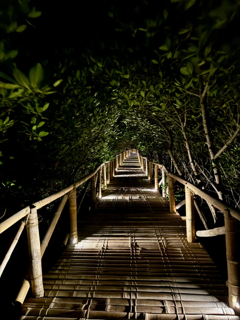 Manglar