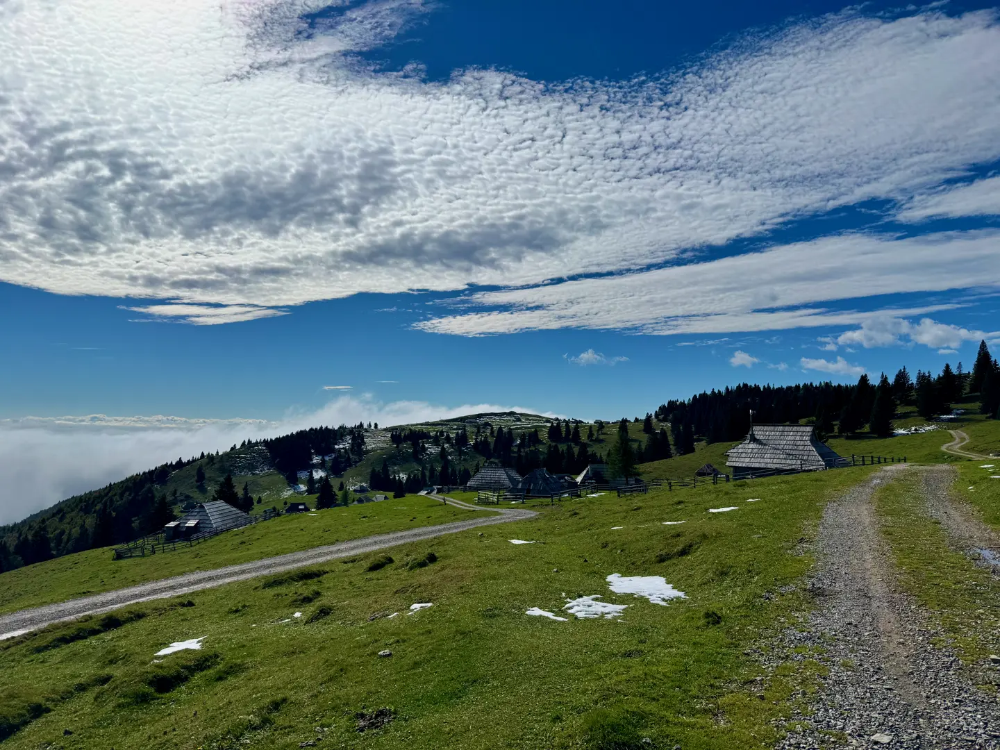 Velika Planina