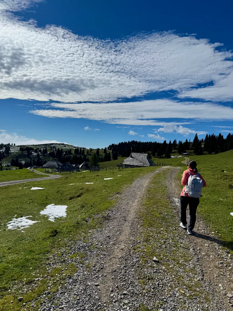 Velika Planina