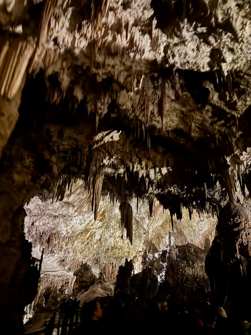 Cueva de Postojna