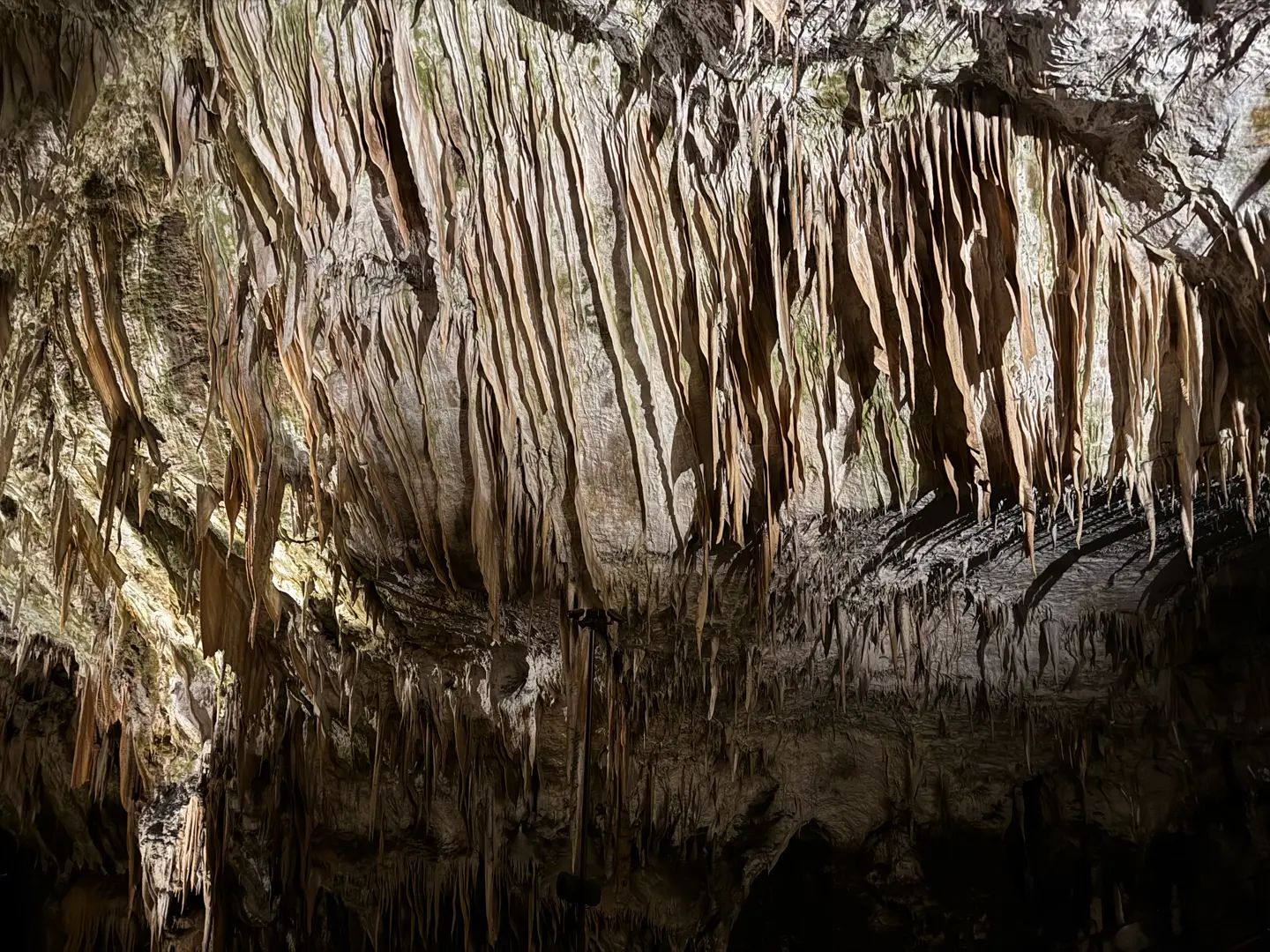 Cueva de Postojna